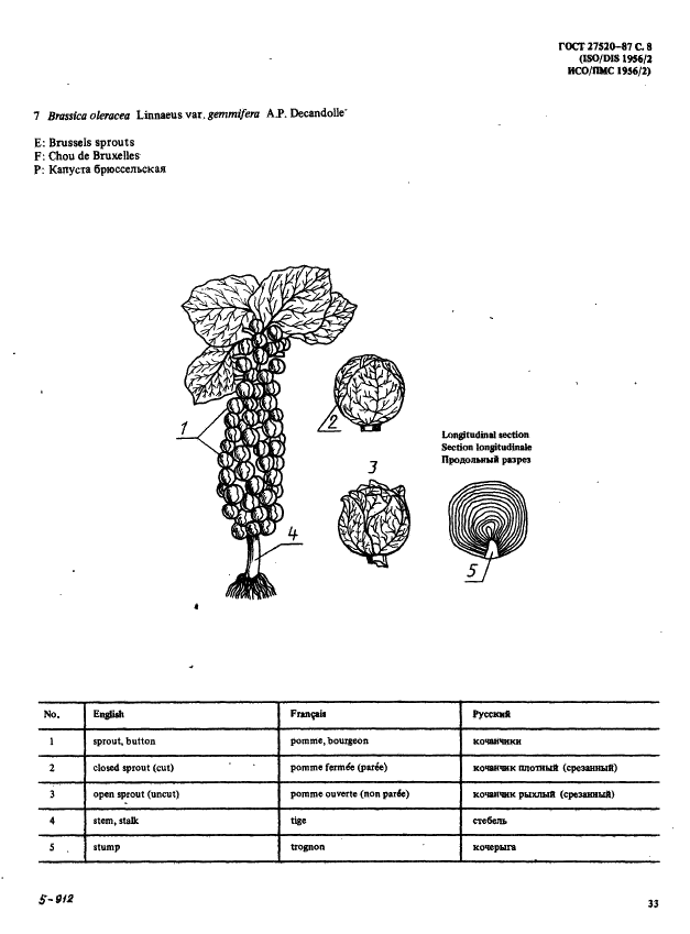 ГОСТ 27520-87 Фрукты и овощи. Морфологическая и структуральная терминология. Часть 2 (фото 8 из 31)