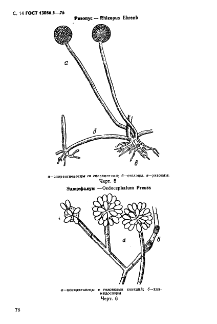 ГОСТ 13056.5-76 Семена деревьев и кустарников. Методы фитопатологического анализа (фото 14 из 24)
