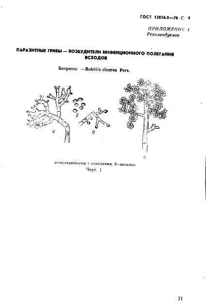 ГОСТ 13056.5-76 Семена деревьев и кустарников. Методы фитопатологического анализа (фото 9 из 24)